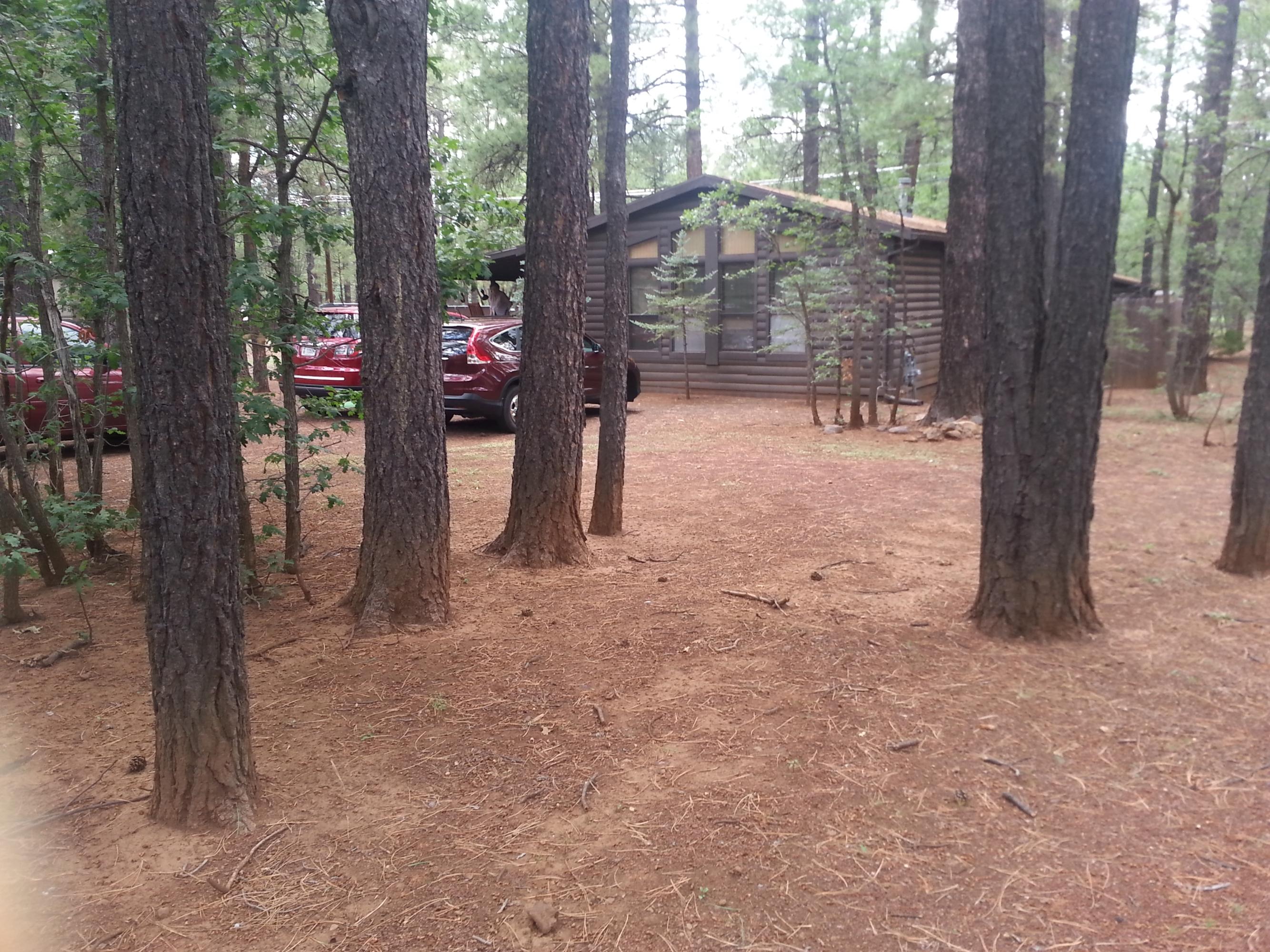4248 West Blue Ridge Loop Pinetop, AZ 85935 - Photo 10 of 26