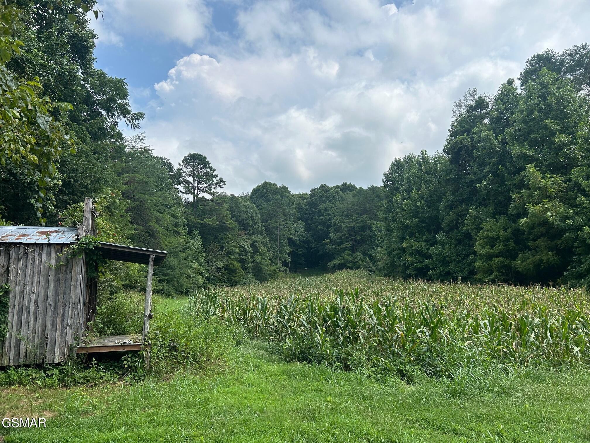 17 Pleasant View Cemetery Road New Market, TN 37820 - Photo 1 of 65 Gallery Image 1