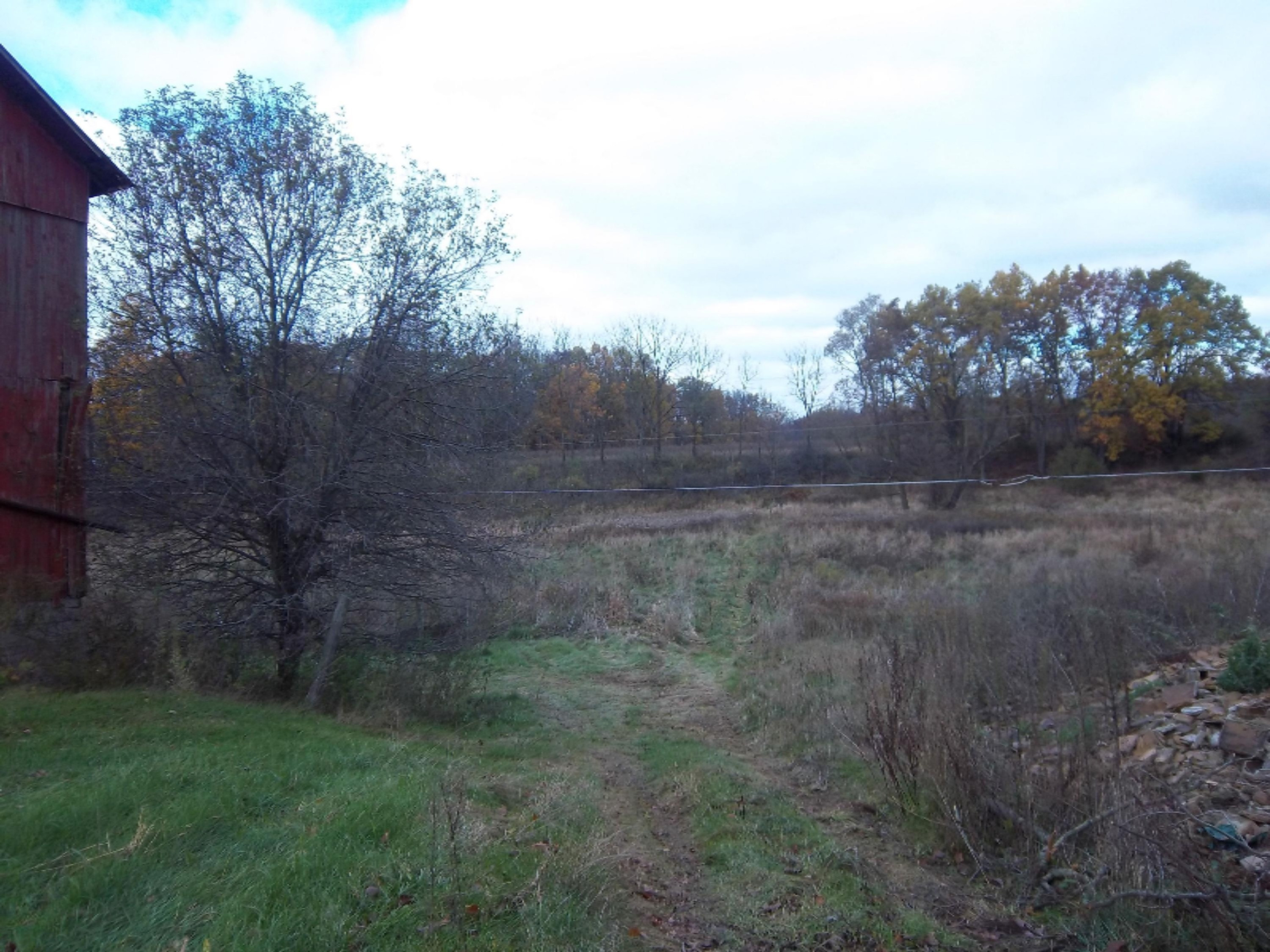 6400 Skuse Road Osseo, MI 49266 - Photo 4 of 13 100_0350