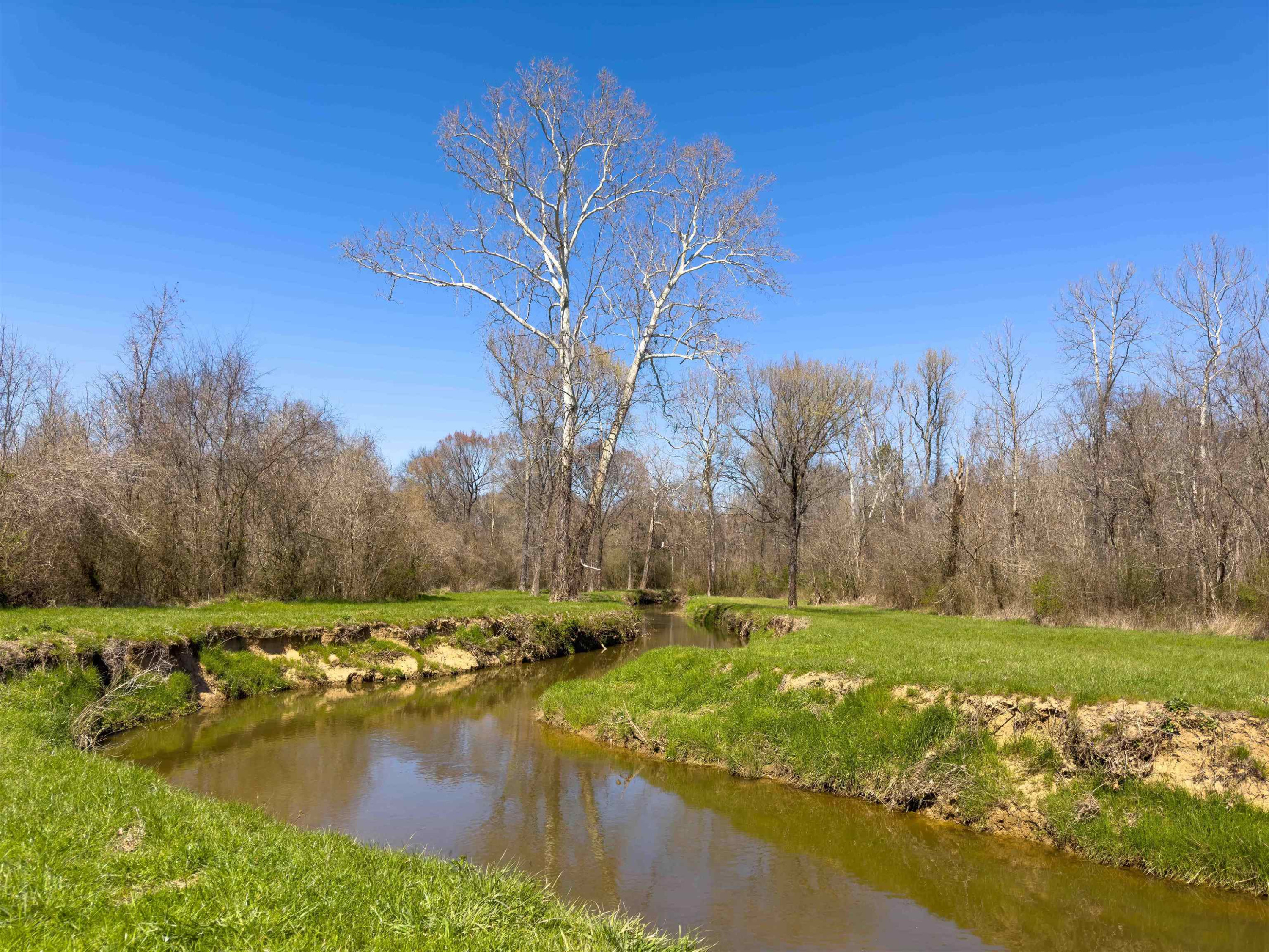 930 Lawson Farm Road Roxboro, NC 27574 - Photo 30 of 52 Photo 30