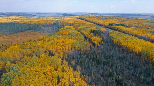 $31,900 | 115 Greenwood Twp Mn 55790, Tower, MN 55790