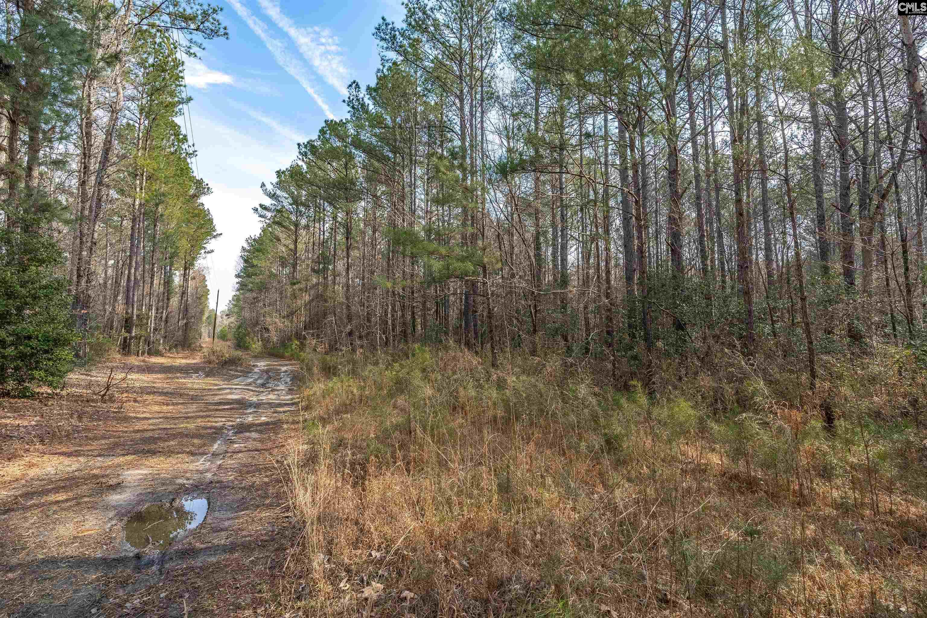 2070 Hwy Church Road Elgin, SC 29045 - Photo 12 of 14
