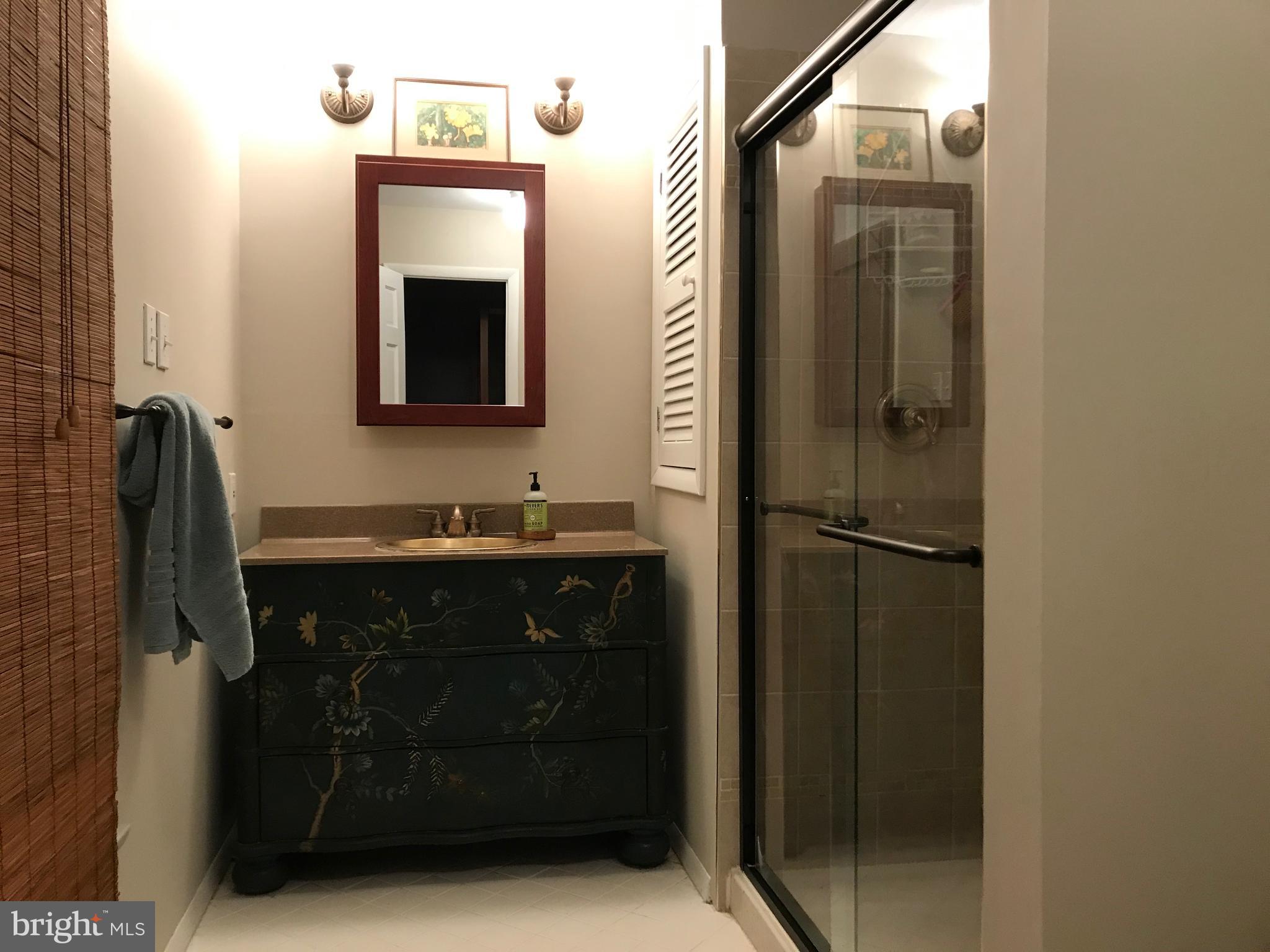 28 Eden Roc New Hope, PA 18938 - Photo 26 of 37 Master Bath with modern shower and unique cabinet