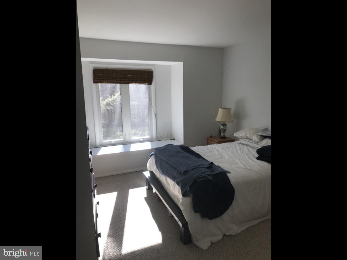 28 Eden Roc New Hope, PA 18938 - Photo 29 of 37 Generous second bedroom with storage window seat