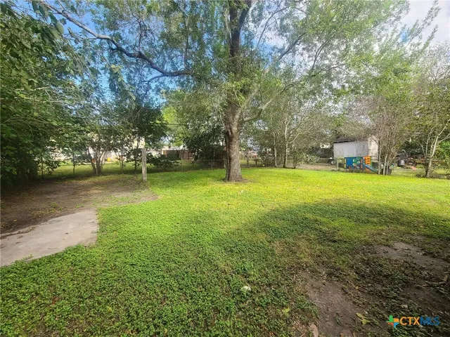 a view of a tree in a yard
