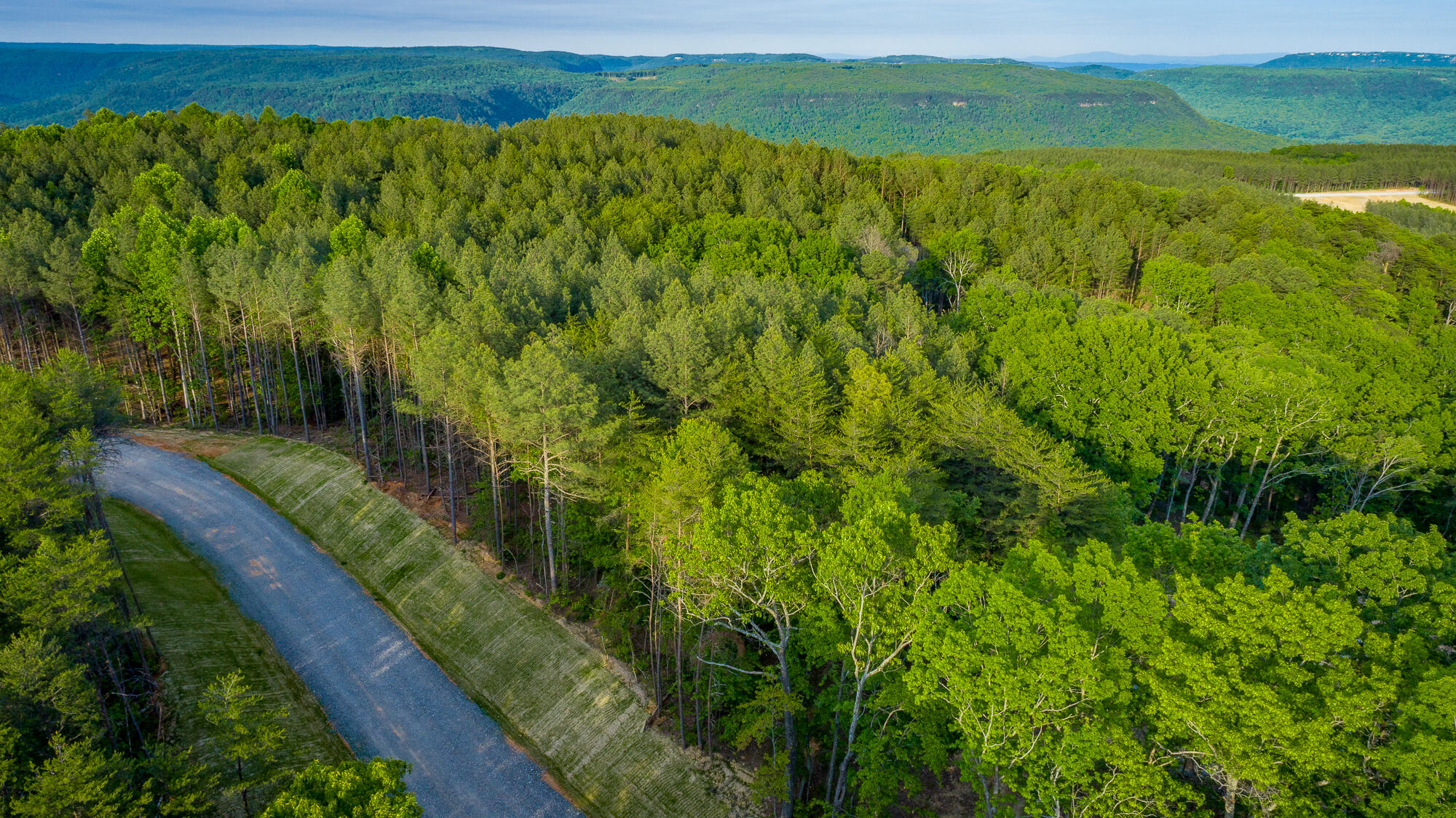 0 Cannon Way, Unit LOT 1317 Guild, TN 37340 - Photo 25 of 99 0 Cannon Way - Lot 1317 HD-9