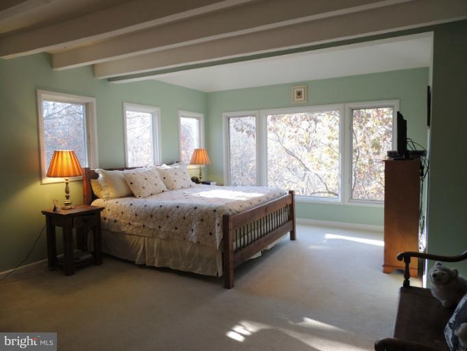 23300 Mersey Road Middleburg, VA 20117 - Photo 15 of 25 Bedroom (Master)