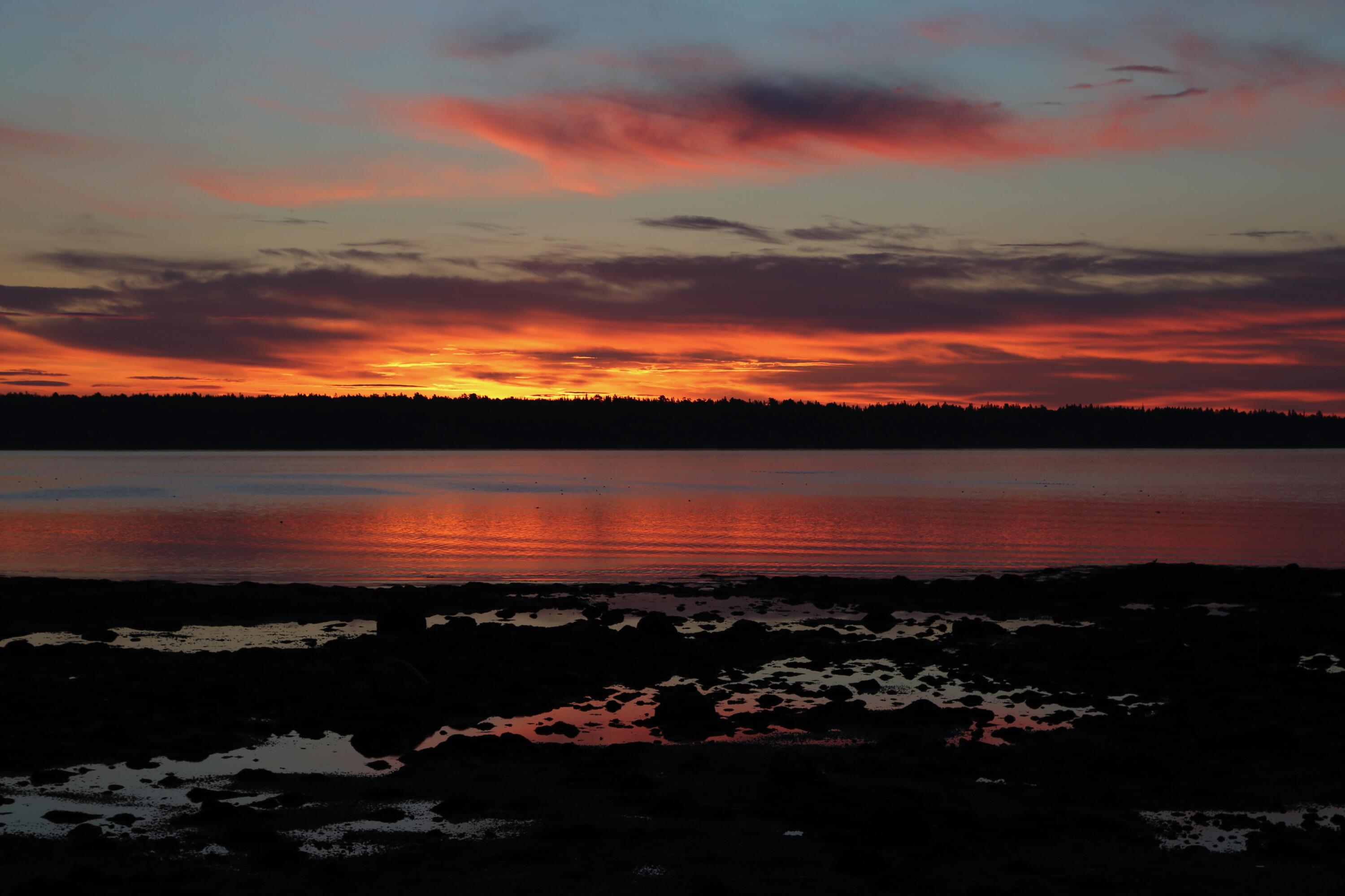 63 Meadow Point Road Lamoine, ME 04605 - Photo 56 of 57 MeadowPointSunrise
