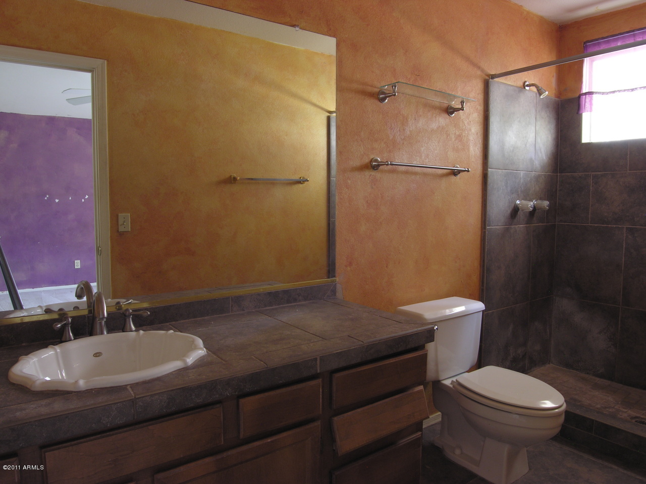 709 West Tumbleweed Road Gilbert, AZ 85233 - Photo 12 of 20 Master Bath