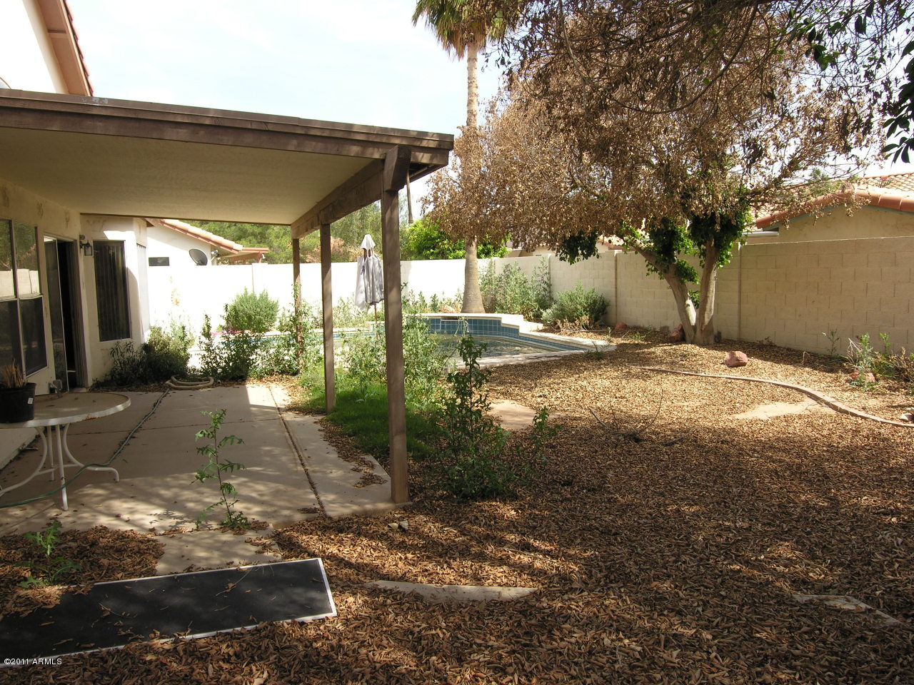 709 West Tumbleweed Road Gilbert, AZ 85233 - Photo 16 of 20 Backyard