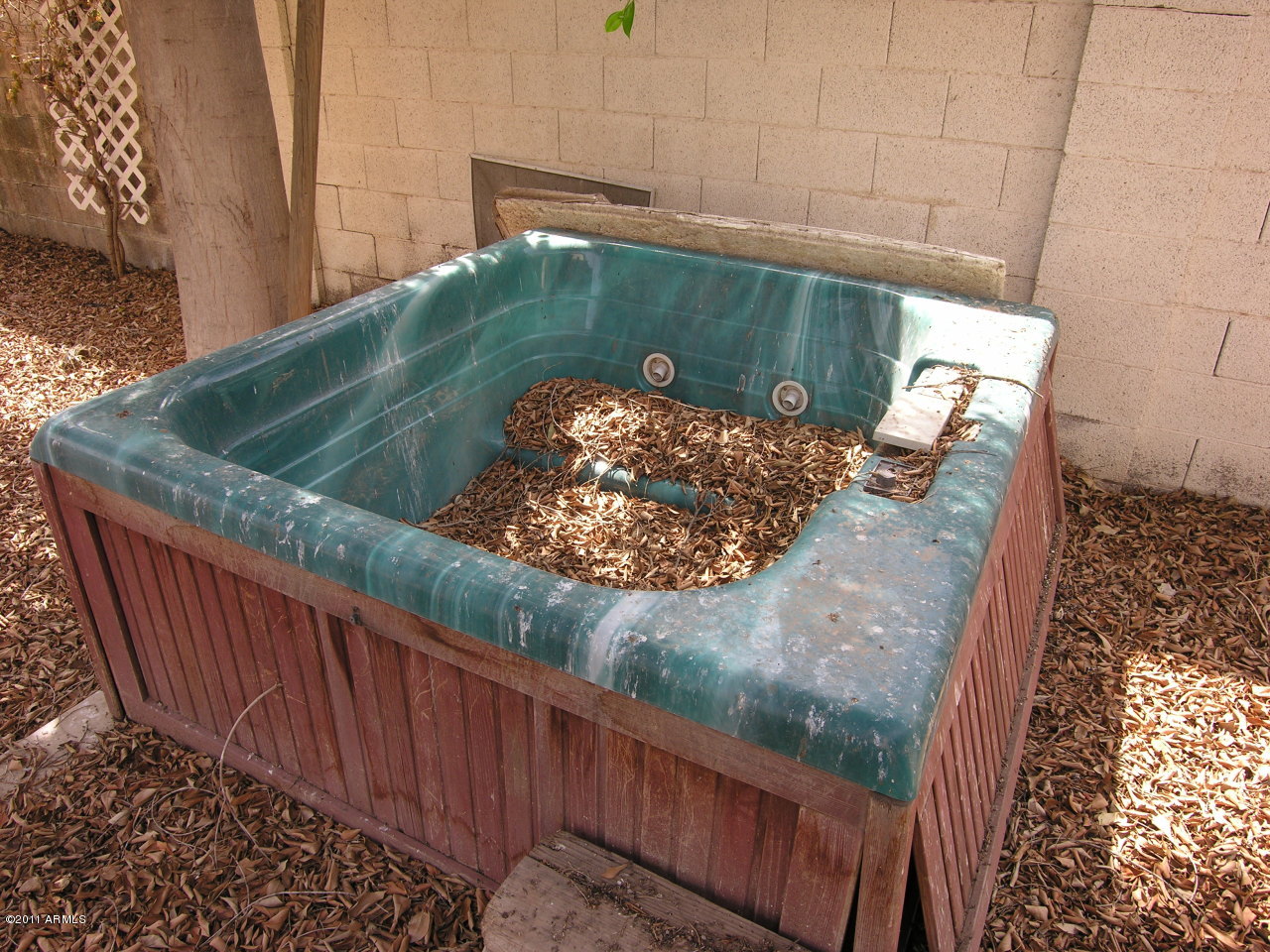 709 West Tumbleweed Road Gilbert, AZ 85233 - Photo 18 of 20 Spa - AS-IS