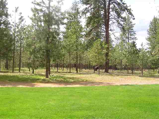 24015 North Cowgill Road Chattaroy, WA 99003 - Photo 7 of 9 Gallery Image 7