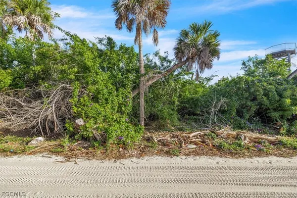 a view of a yard and a tree