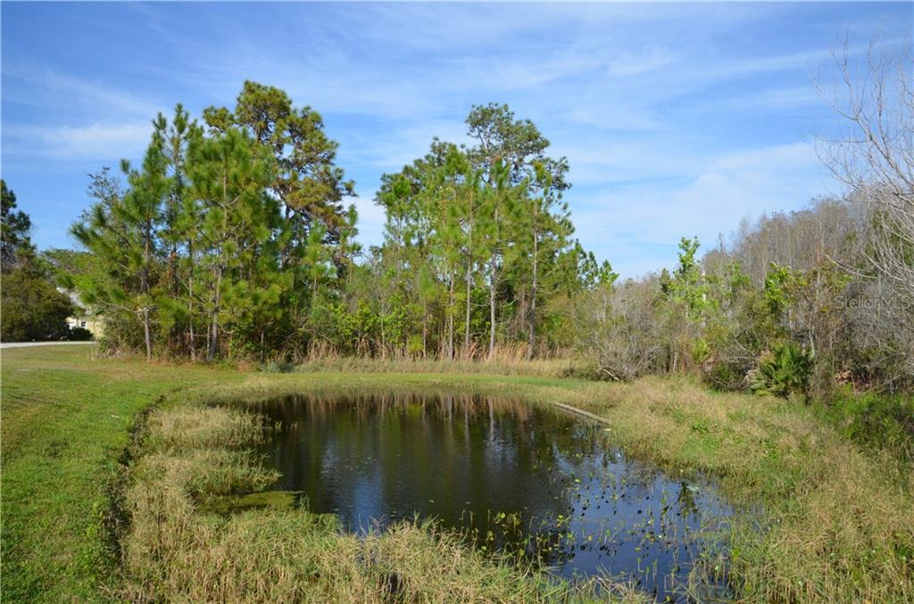 3740 Wiregrass Road New Port Richey, FL 34655 - Photo 1 of 1 Unique Lot with two ponds. This can be a side yard view