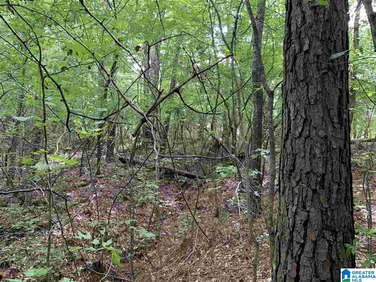 125 Running Deer Road, Unit 20 Talladega, AL 35160 - Photo 7 of 10