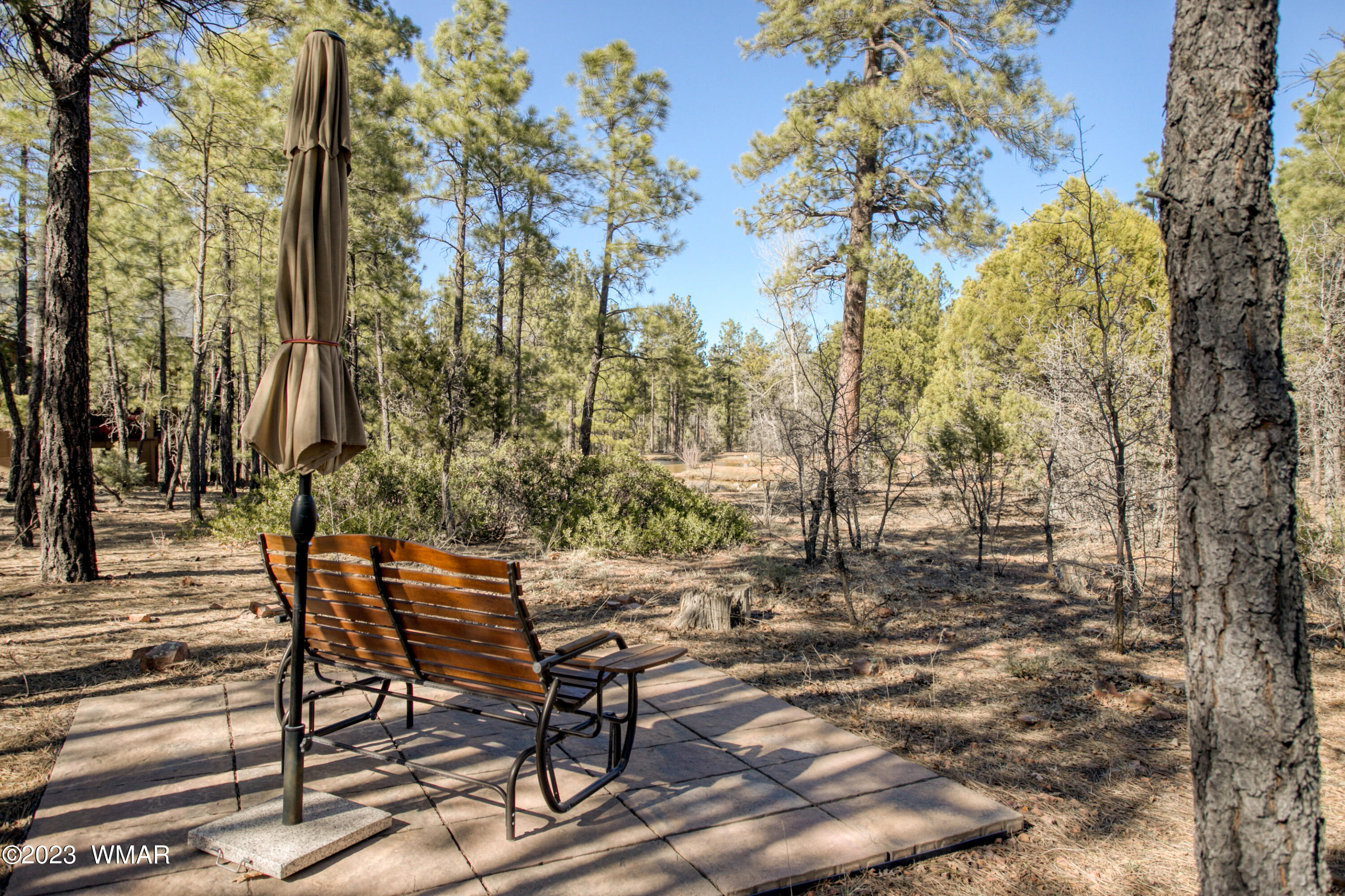 521 South Paintbrush Road Show Low, AZ 85901 - Photo 29 of 34 Gallery Image 29