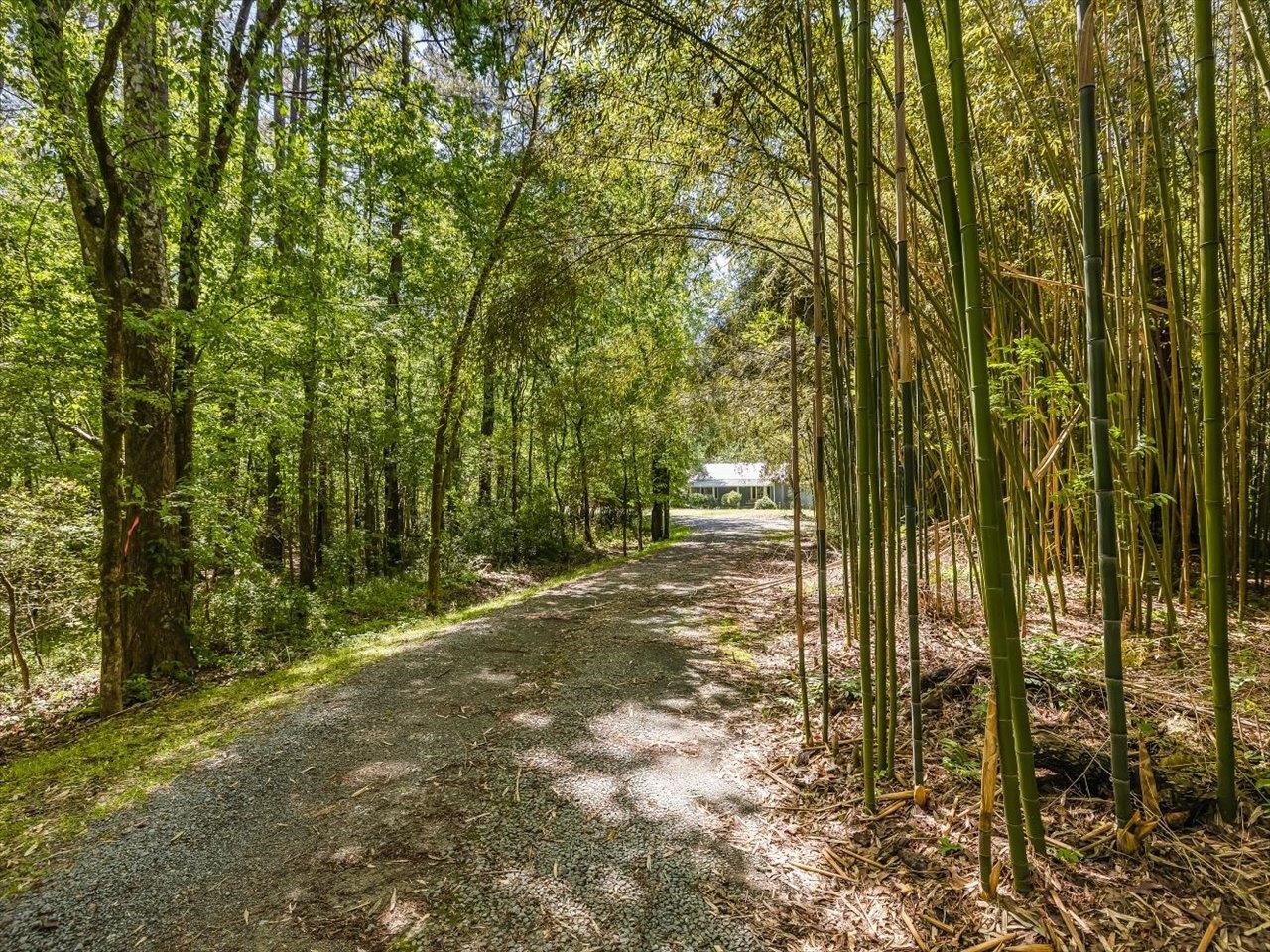 94 Sunny Ridge Lane Pittsboro, NC 27312 - Photo 44 of 49 Photo 44