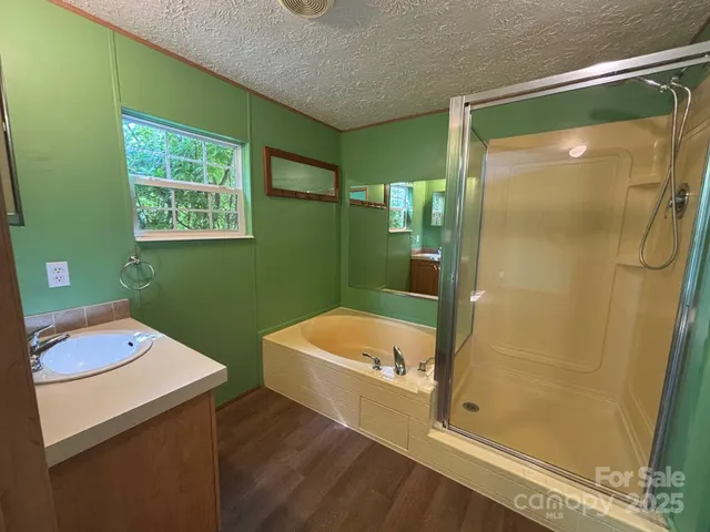 a bathroom with a sink and a shower