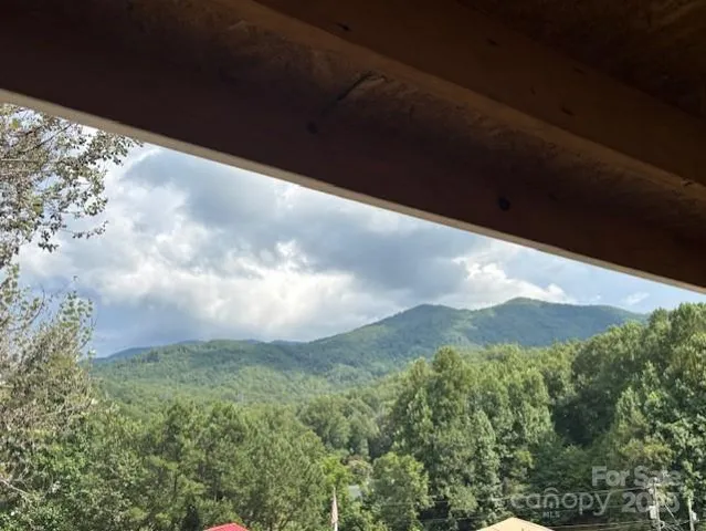 a view of a big yard