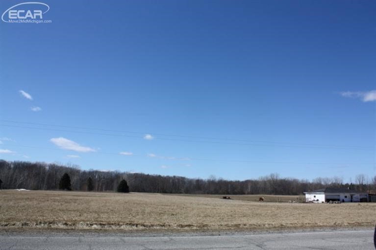 0 Belsay Road Millington, MI 48746 - Photo 4 of 6