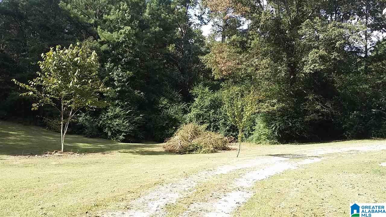 2426 Mcclellan Road Trafford, AL 35172 - Photo 11 of 11