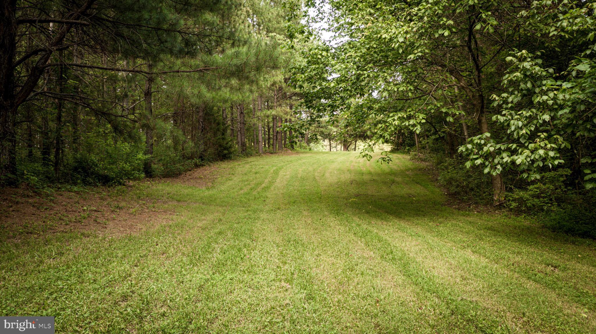 22144 Monrovia Road Orange, VA 22960 - Photo 75 of 94 a view of outdoor space and yard