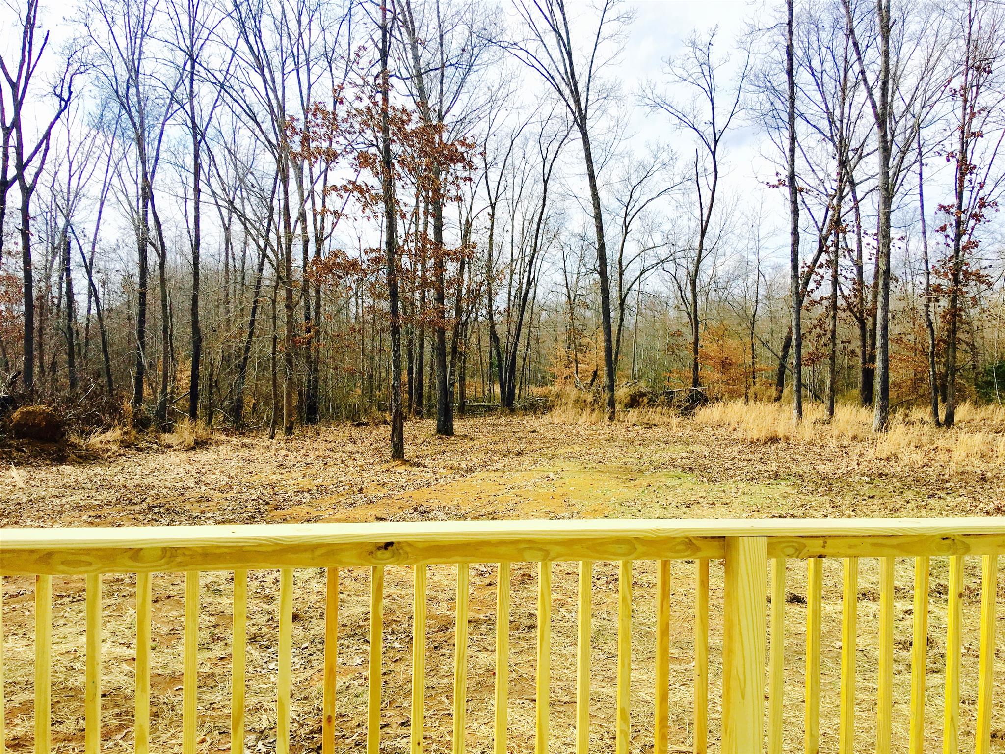 73 Benson School Road Kelso, TN 37348 - Photo 2 of 15 View from back deck