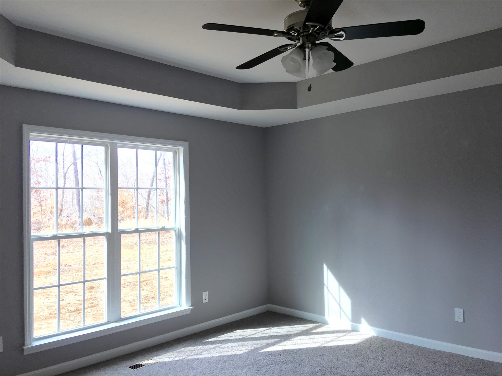 73 Benson School Road Kelso, TN 37348 - Photo 8 of 15 Master bedroom with trey ceiling, double windows, walk-in closet and ceiling fan