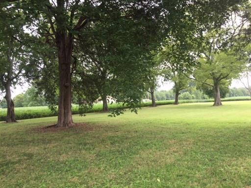 a view of outdoor space with trees