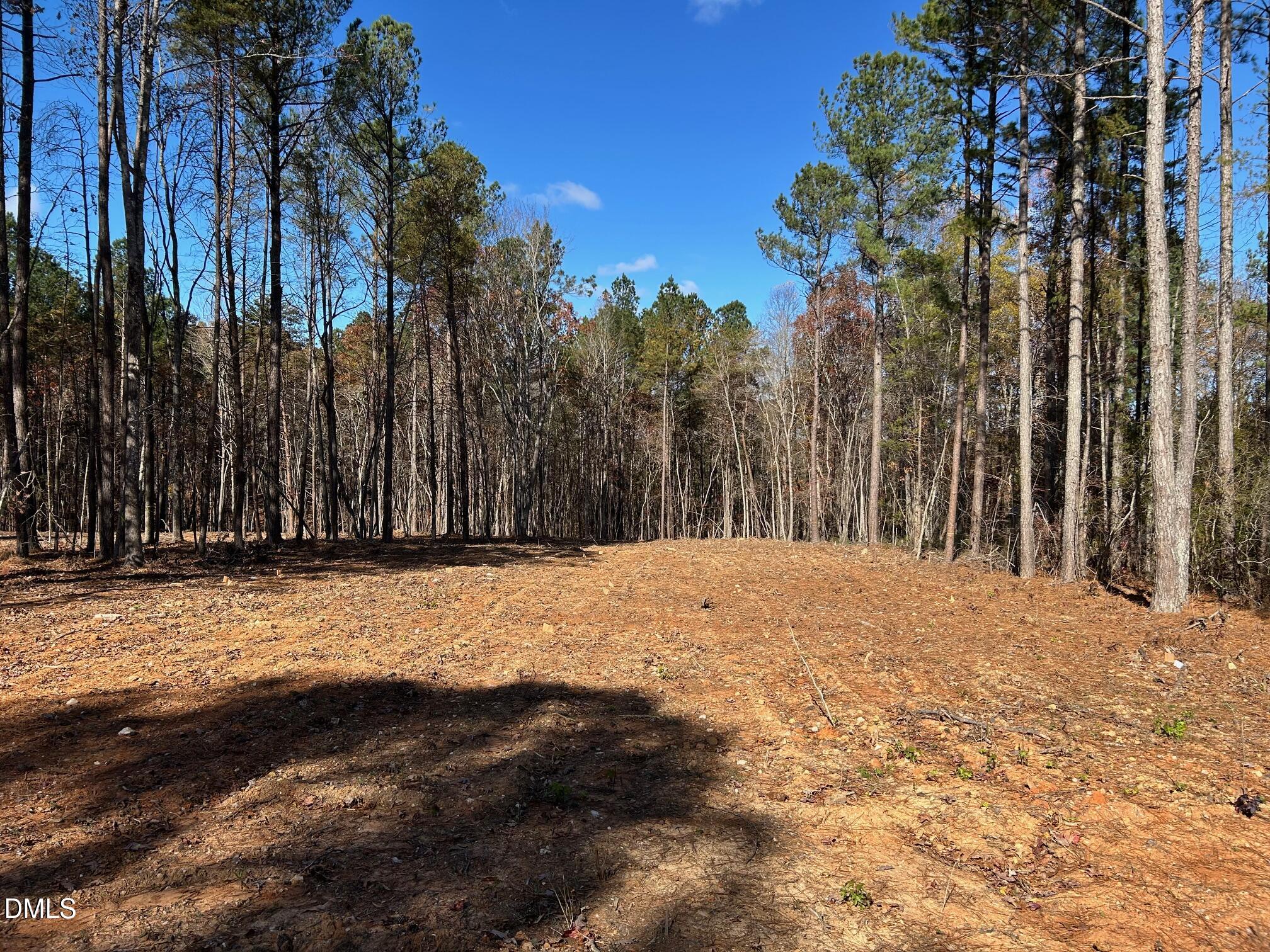 2085 Satterwhite Road Oxford, NC 27565 - Photo 2 of 11
