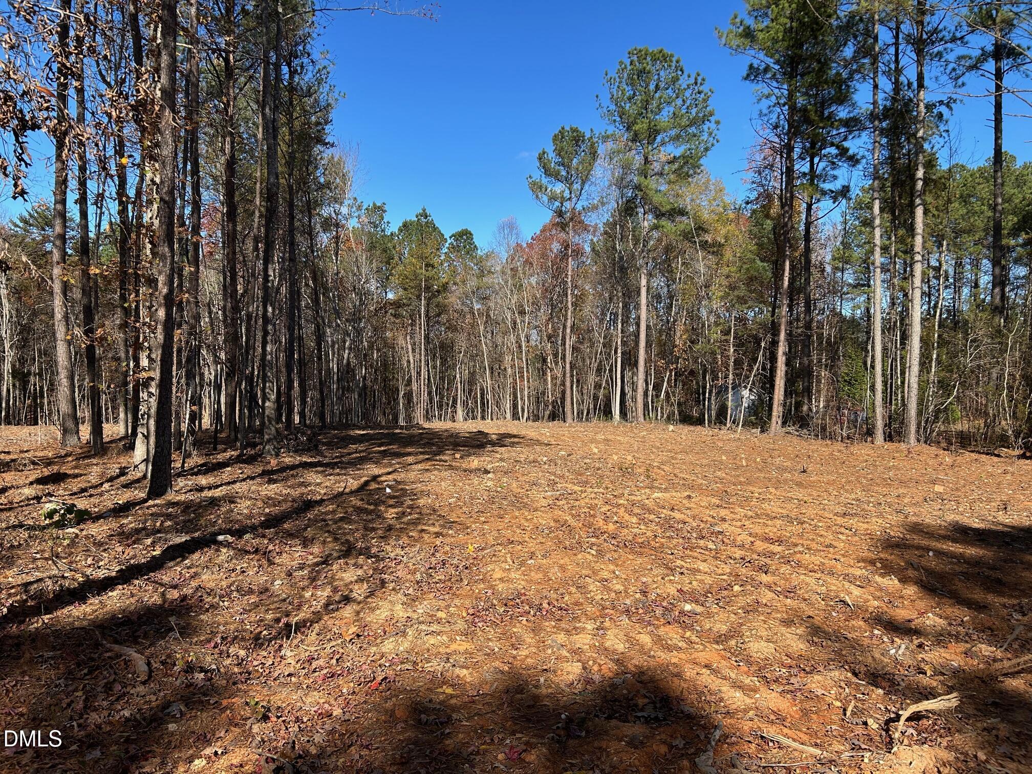 2085 Satterwhite Road Oxford, NC 27565 - Photo 3 of 11 a view of a backyard of the house