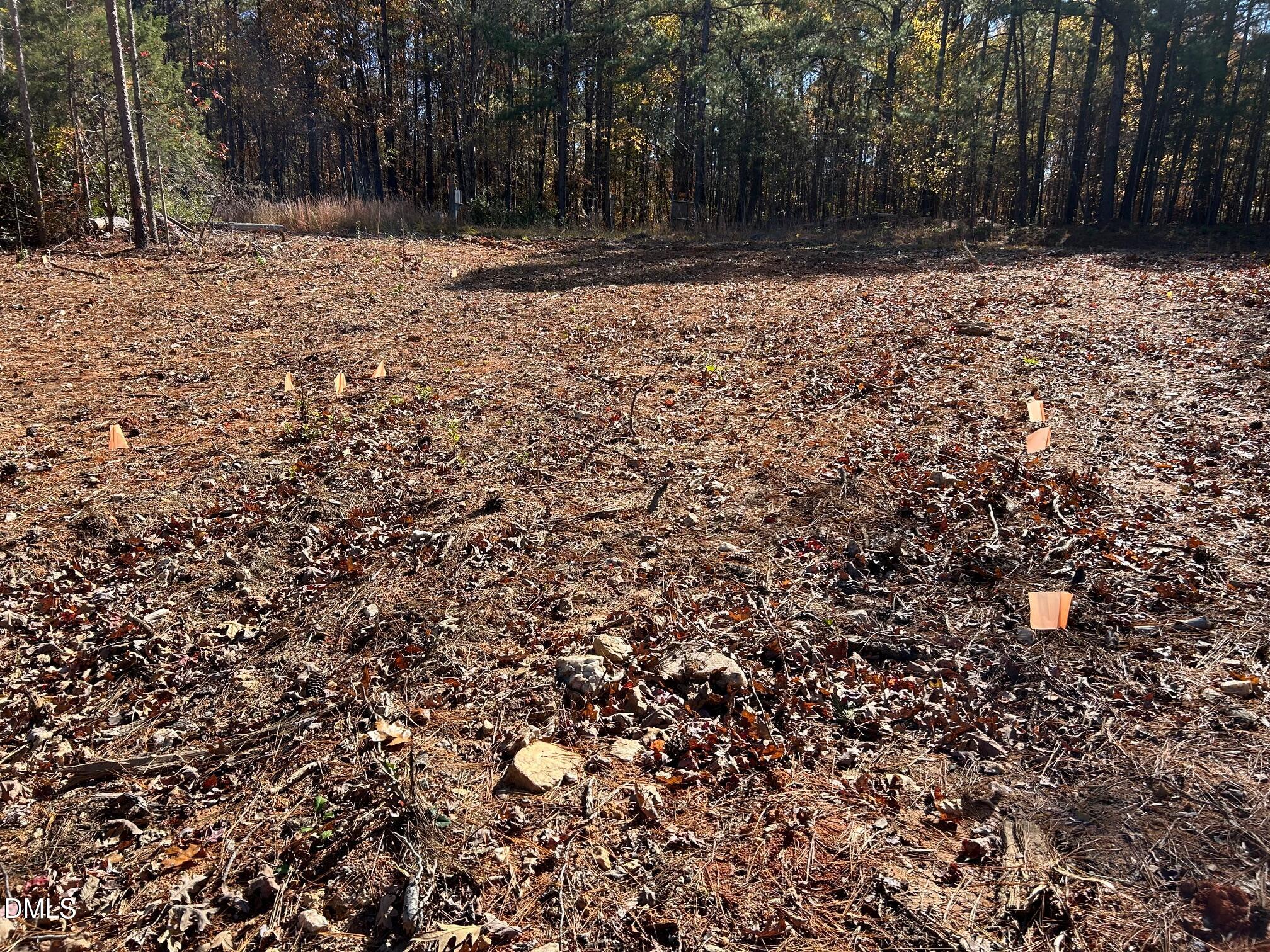 2085 Satterwhite Road Oxford, NC 27565 - Photo 4 of 11 a view of a yard with trees