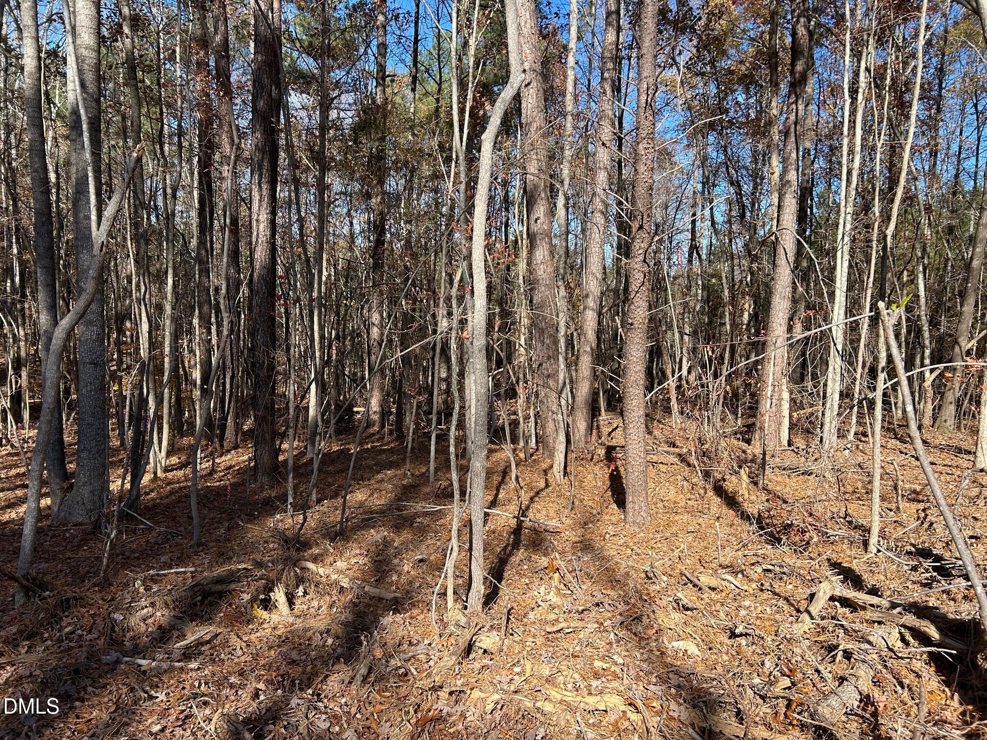2085 Satterwhite Road Oxford, NC 27565 - Photo 5 of 11 a view of outdoor space with a garden