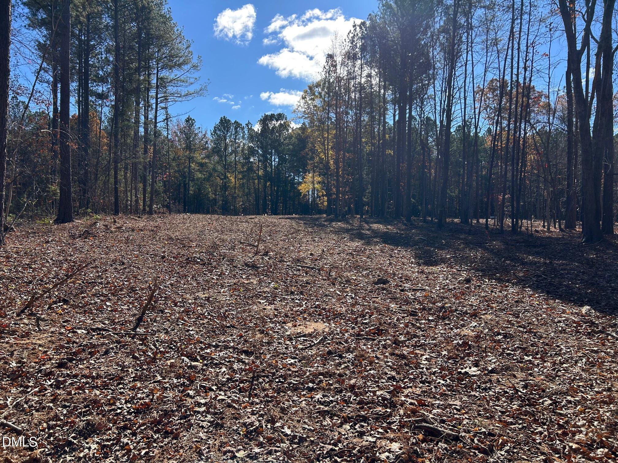 2085 Satterwhite Road Oxford, NC 27565 - Photo 6 of 11 a view of a yard with trees
