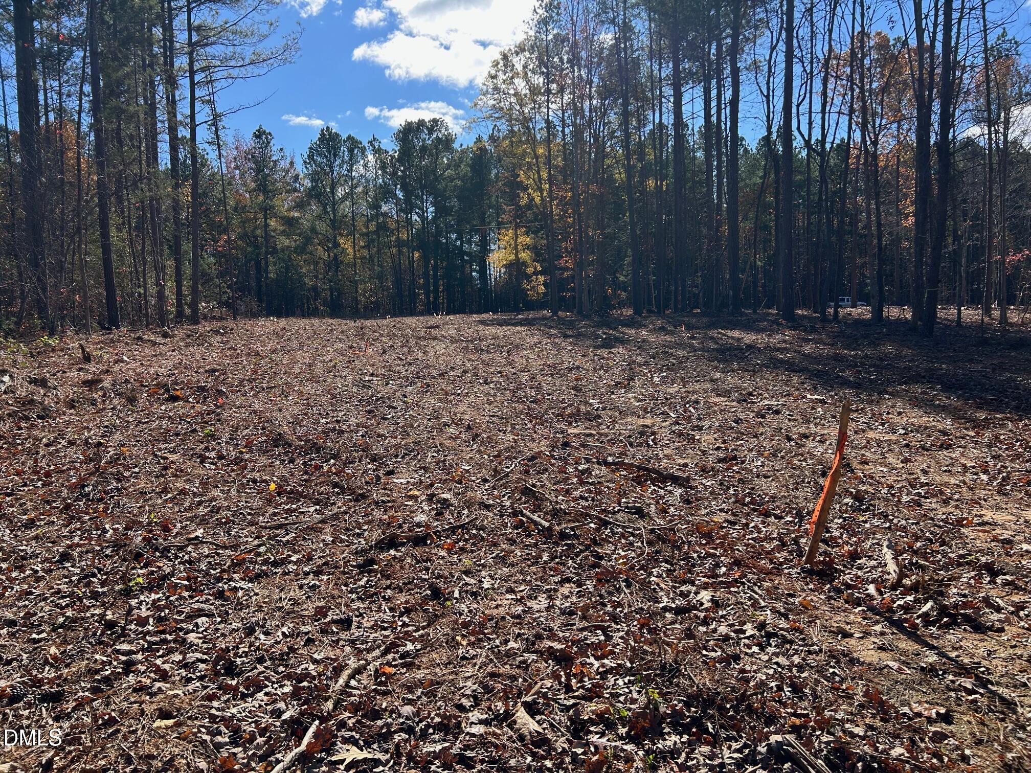 2085 Satterwhite Road Oxford, NC 27565 - Photo 7 of 11 a view of outdoor space and yard