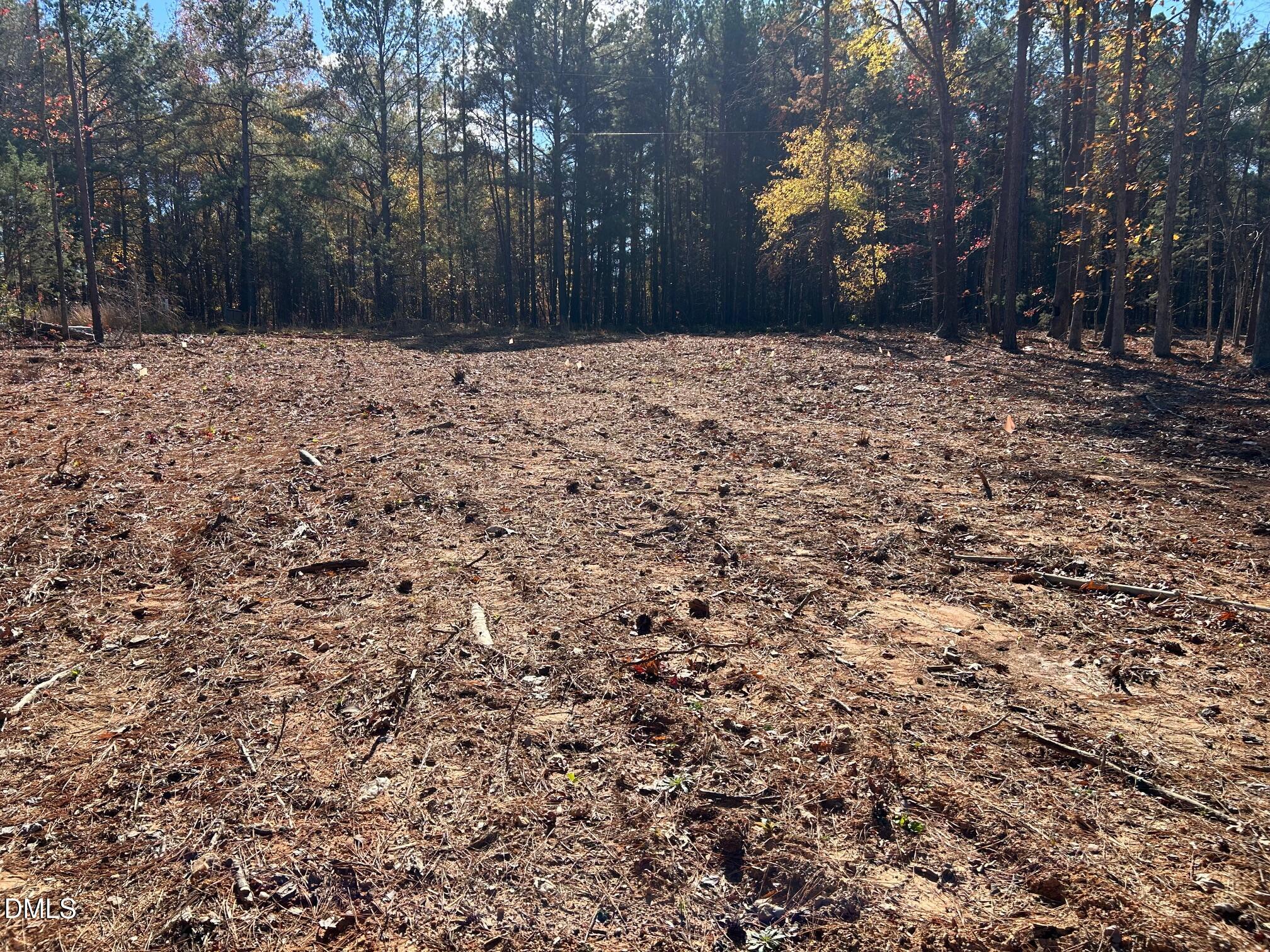 2085 Satterwhite Road Oxford, NC 27565 - Photo 9 of 11 a street view with wooden fence