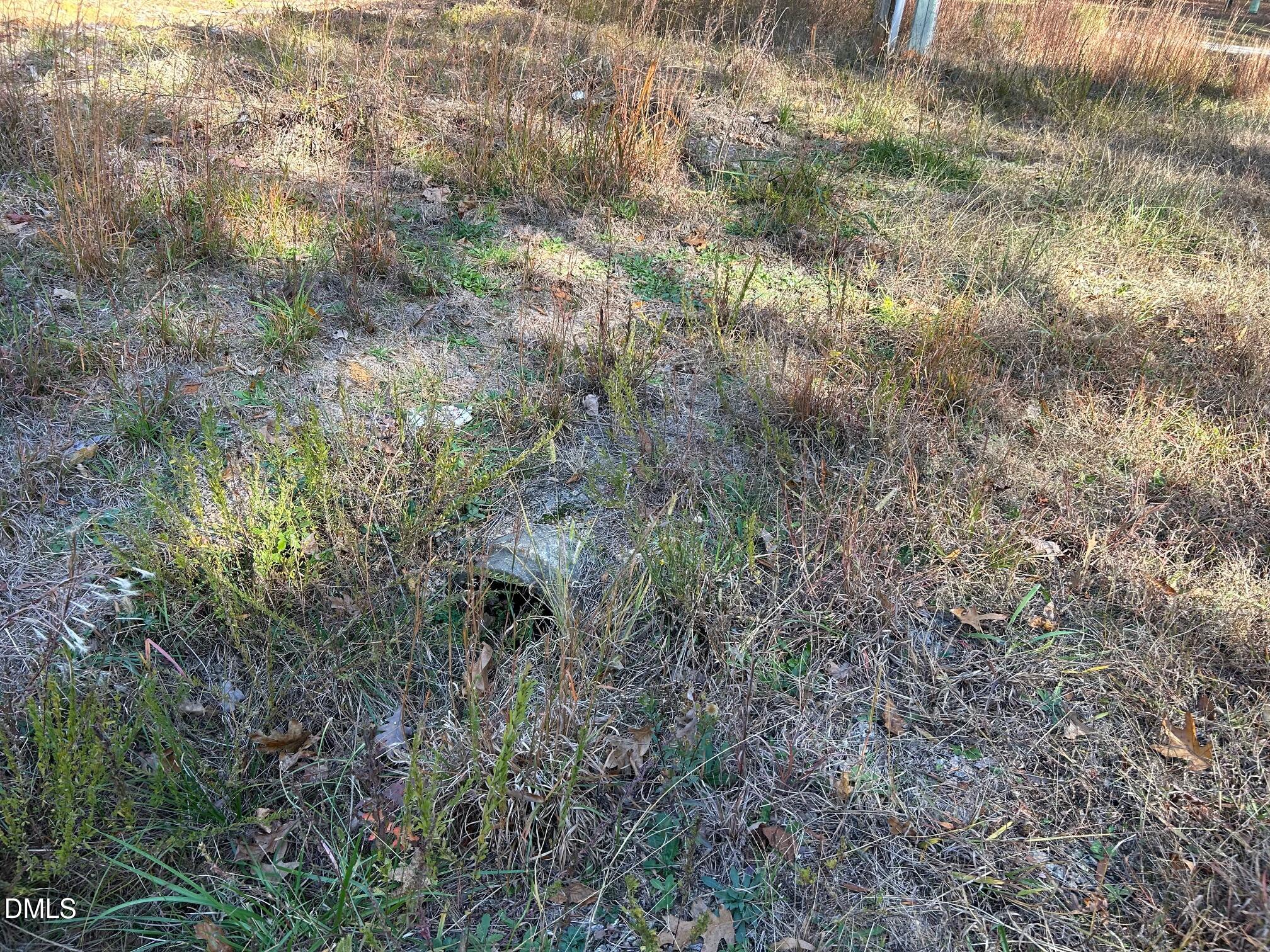 2085 Satterwhite Road Oxford, NC 27565 - Photo 10 of 11 a view of a lush green forest with lots of trees