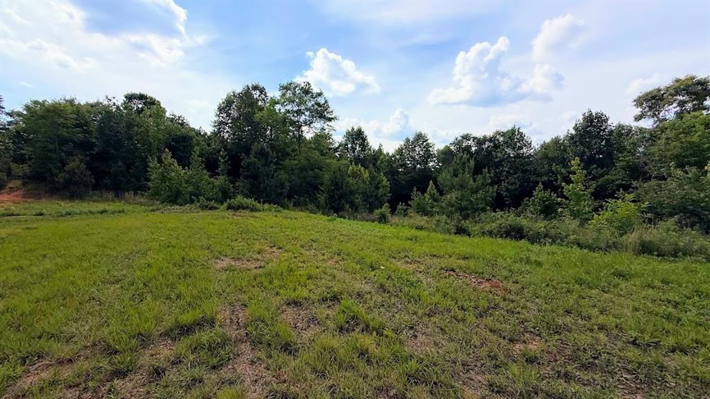 380 Nix Road Bremen, GA 30110 - Photo 7 of 14