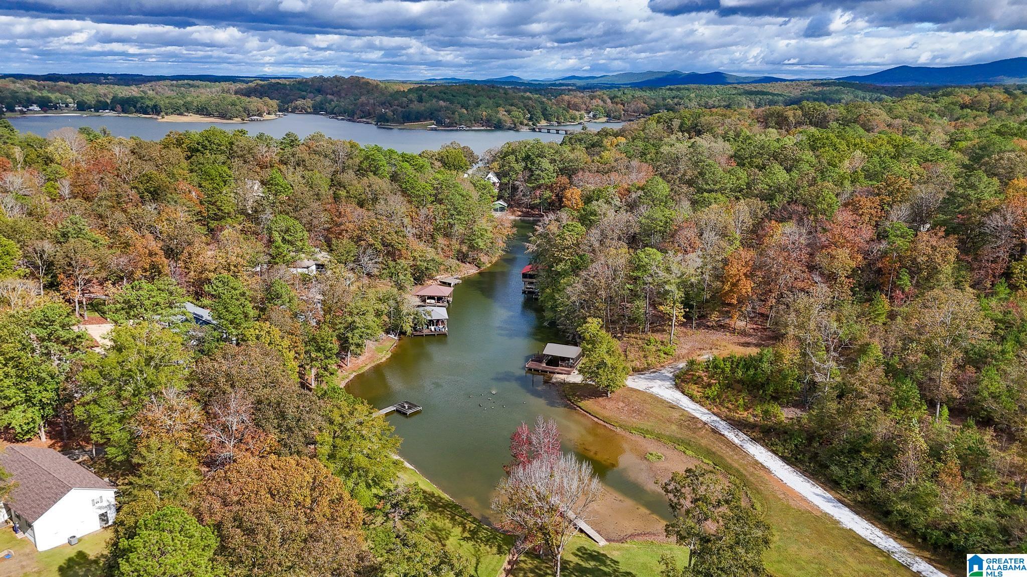 560 Davis Acres Drive Alpine, AL 35014 - Photo 4 of 9