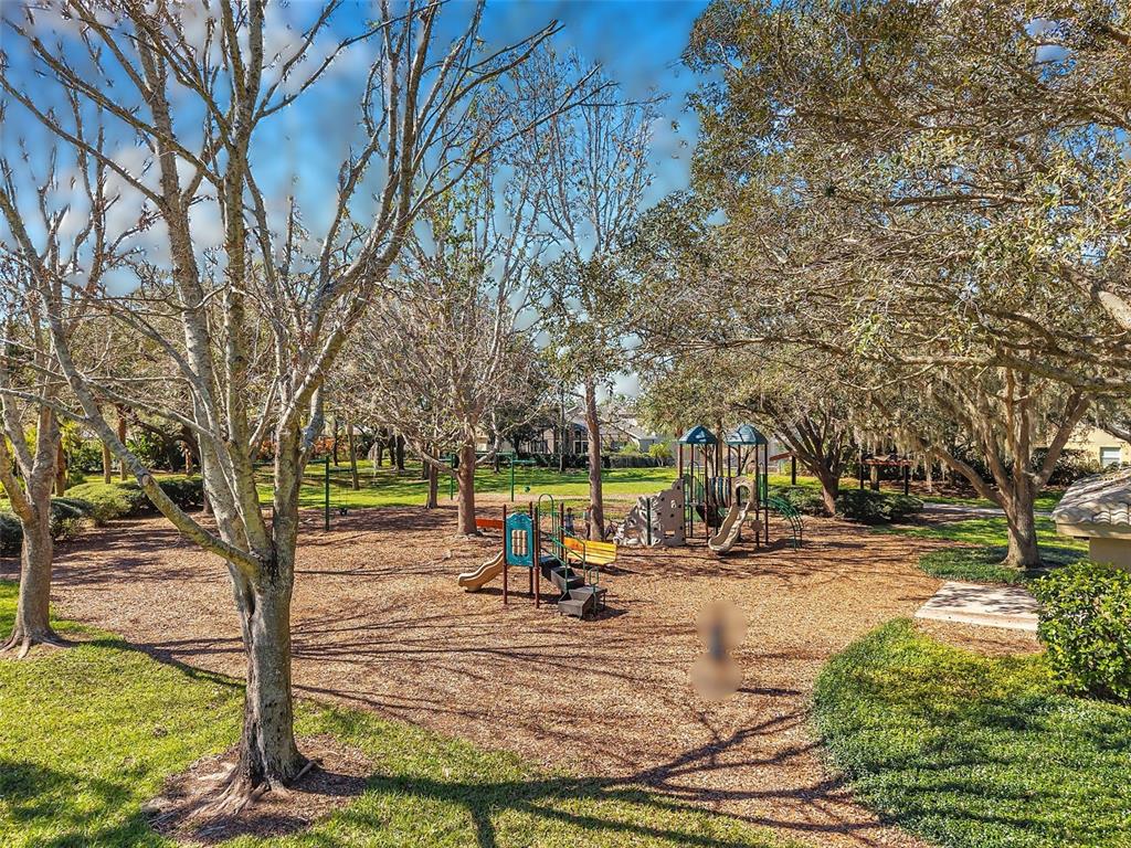 10539 Gooseberry Court Trinity, FL 34655 - Photo 46 of 52 a view of a park with large tree