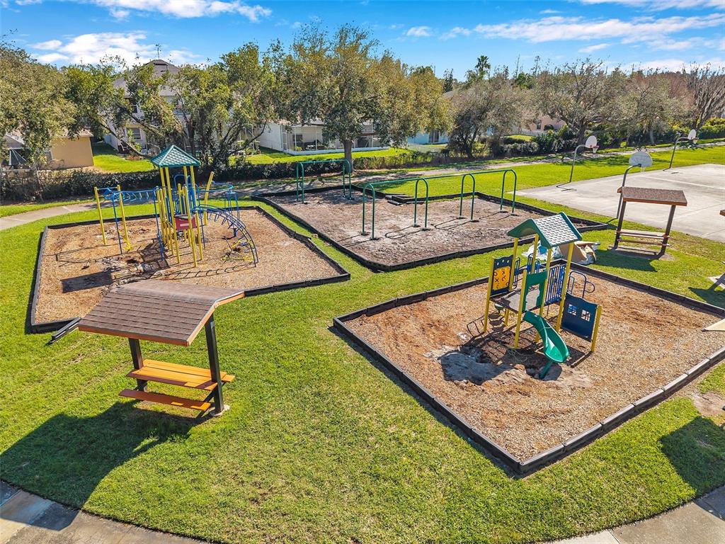10539 Gooseberry Court Trinity, FL 34655 - Photo 48 of 52 a view of a swimming pool with a patio and a yard