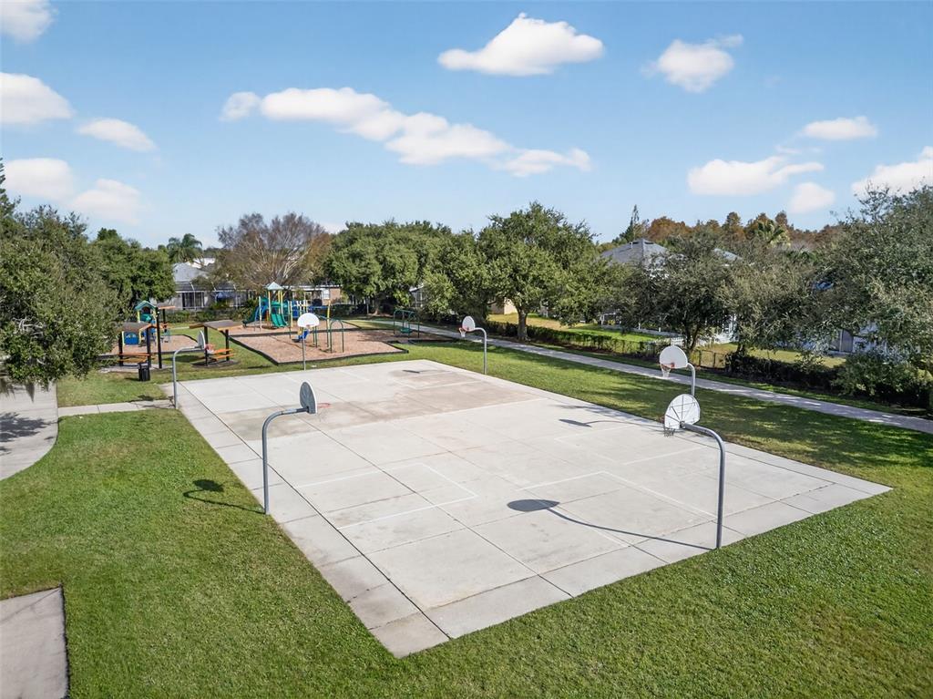 10539 Gooseberry Court Trinity, FL 34655 - Photo 50 of 52 a view of a swimming pool with a yard