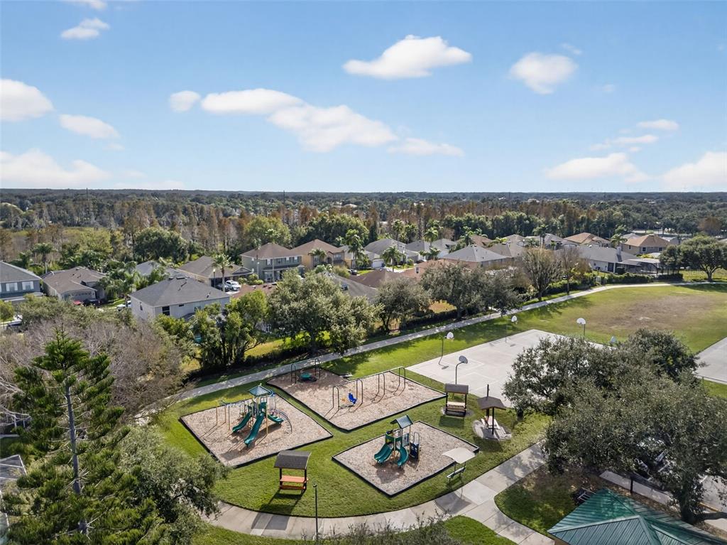 10539 Gooseberry Court Trinity, FL 34655 - Photo 51 of 52