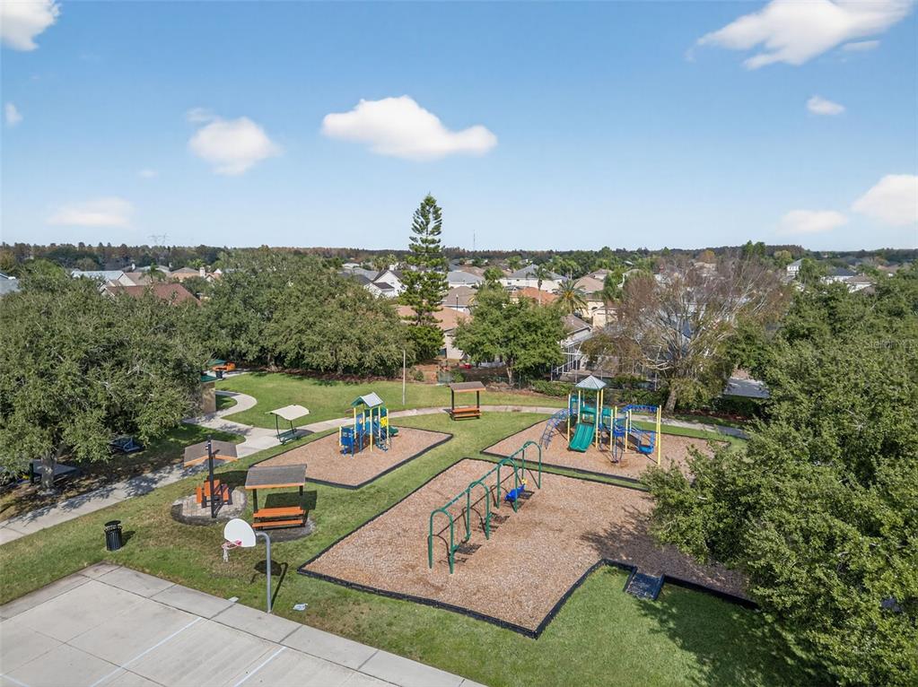 10539 Gooseberry Court Trinity, FL 34655 - Photo 52 of 52 swimming pool view with a lake view