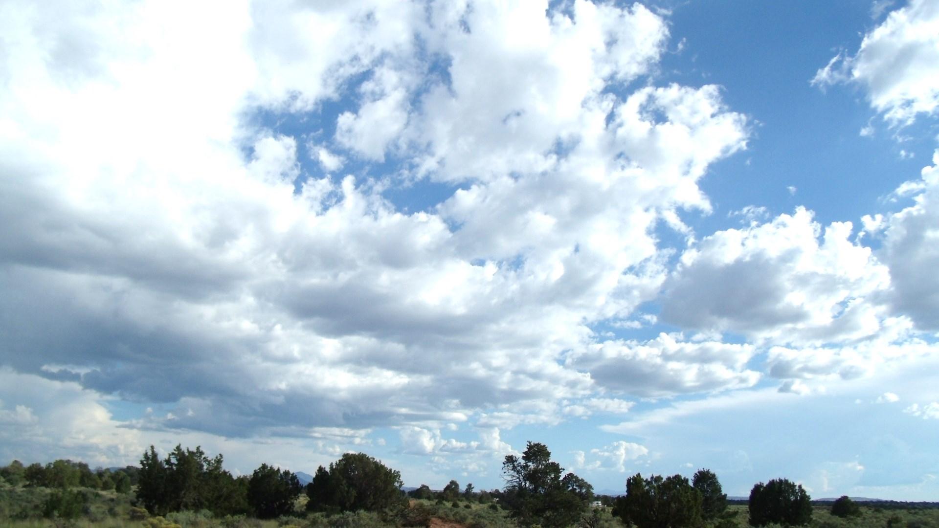 4563 East High Grove Road Williams, AZ 86046 - Photo 14 of 15 GEDC1306