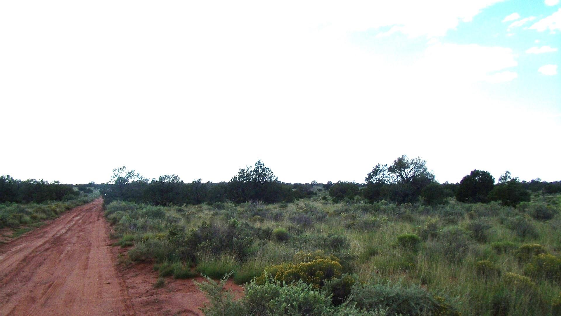 4563 East High Grove Road Williams, AZ 86046 - Photo 3 of 15 GEDC1293