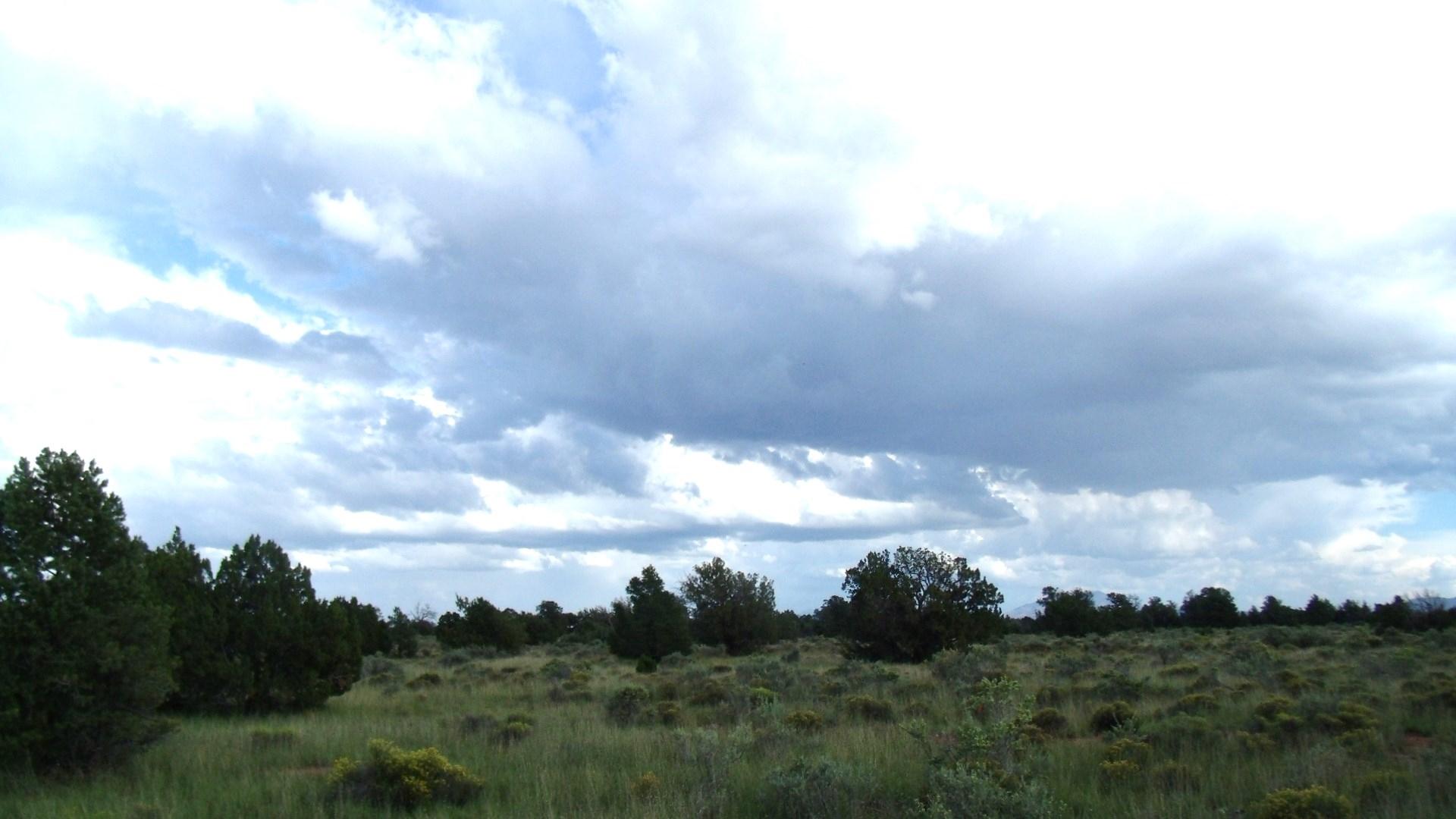 4563 East High Grove Road Williams, AZ 86046 - Photo 4 of 15 GEDC1295