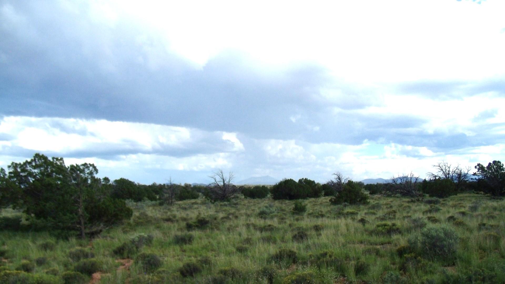 4563 East High Grove Road Williams, AZ 86046 - Photo 9 of 15 GEDC1300