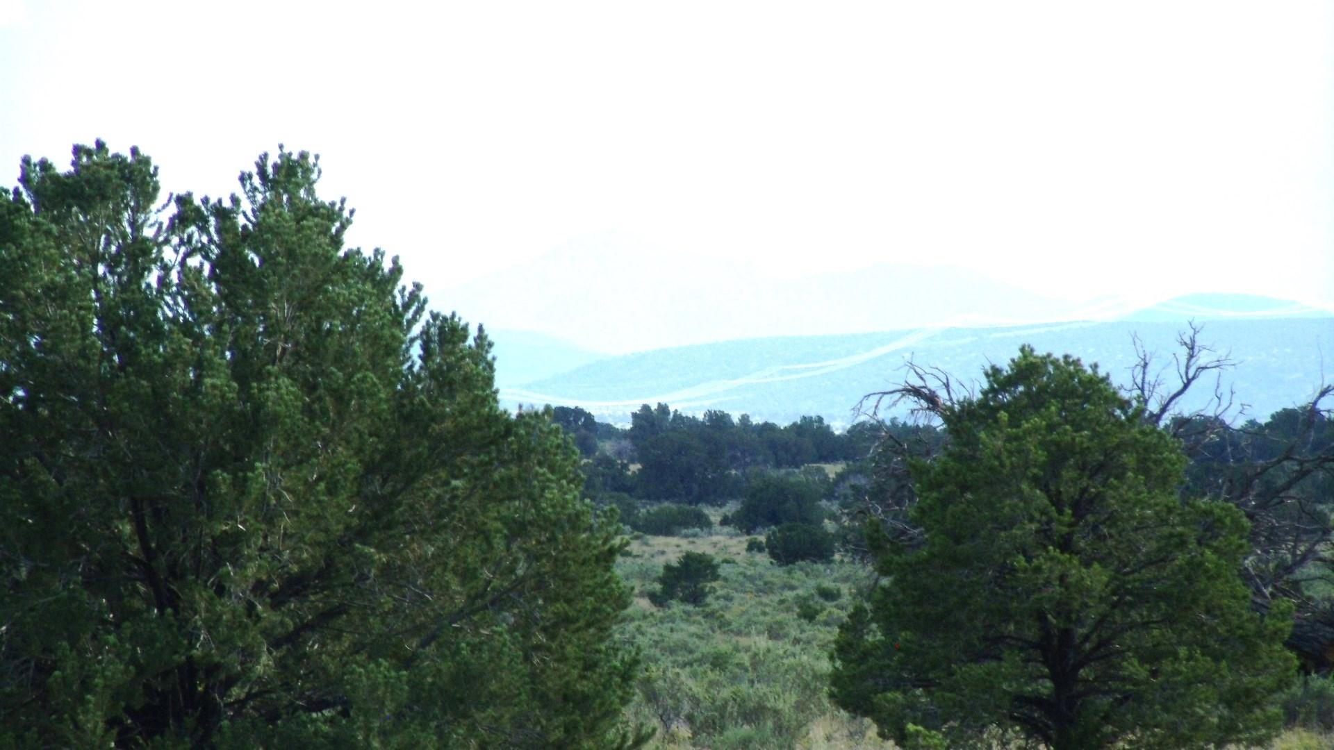 4563 East High Grove Road Williams, AZ 86046 - Photo 10 of 15 GEDC1302