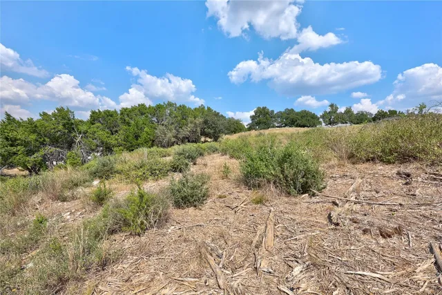 a view of a bunch of trees and houses